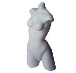 torso of woman