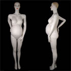 Women's Pregnant Mannequins