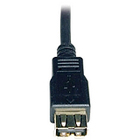 Tripp Lite USB 2.0 Extension Cable A/A - 6ft