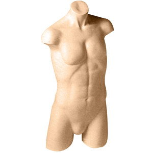 Men's Self Standing Torso Display Form