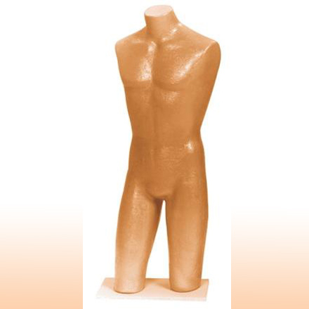 Apollo Torso "Tanned" w/ Wood Base